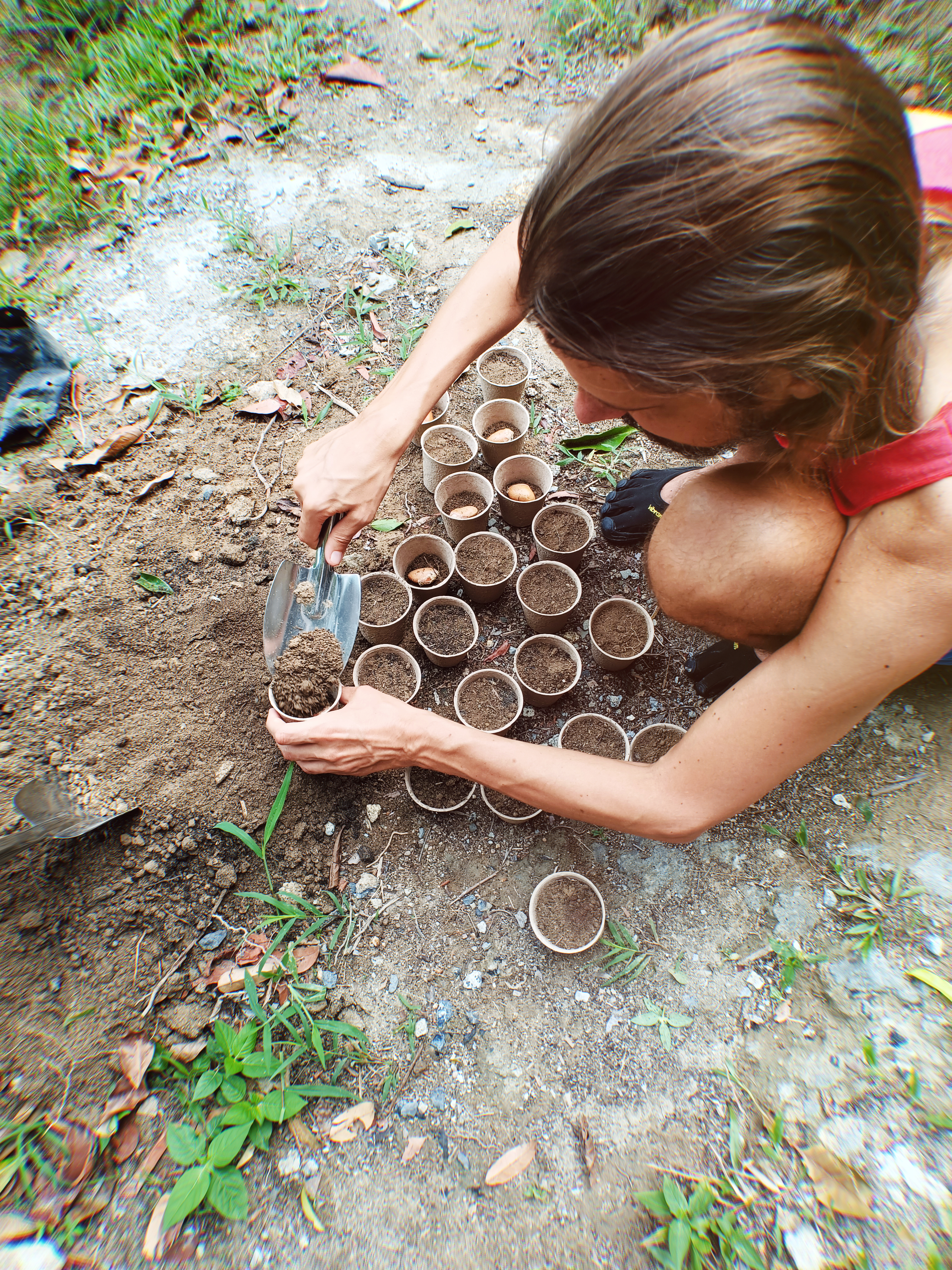 Me planting Durian seeds