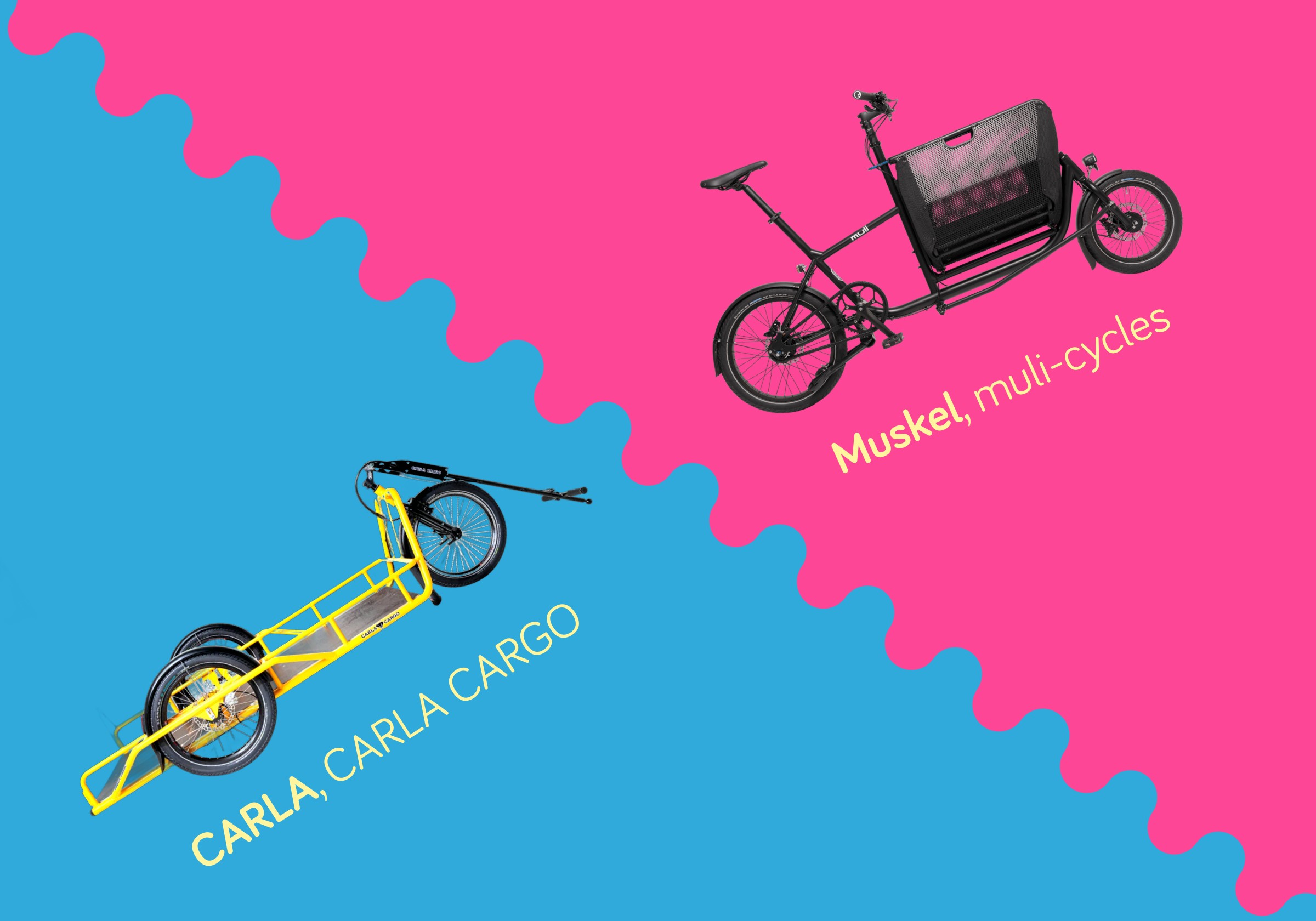 CARLA, CARLA CARGO und Muskel, muli-cycles