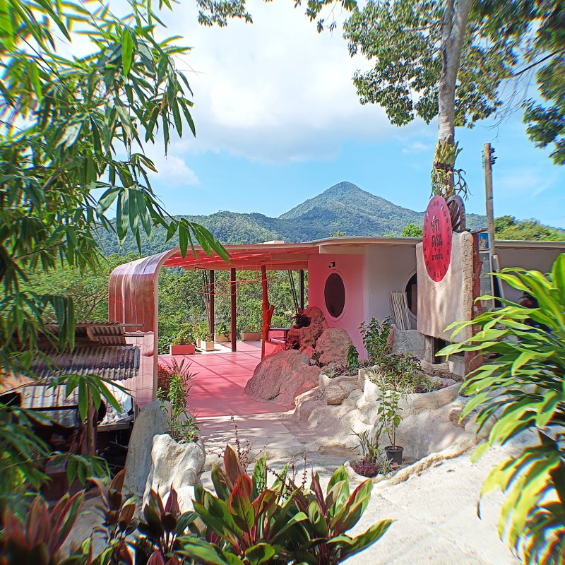 Life update #5—We need help!