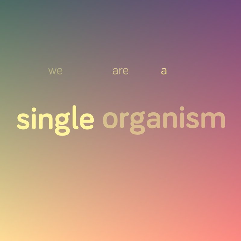 Fundamentally one