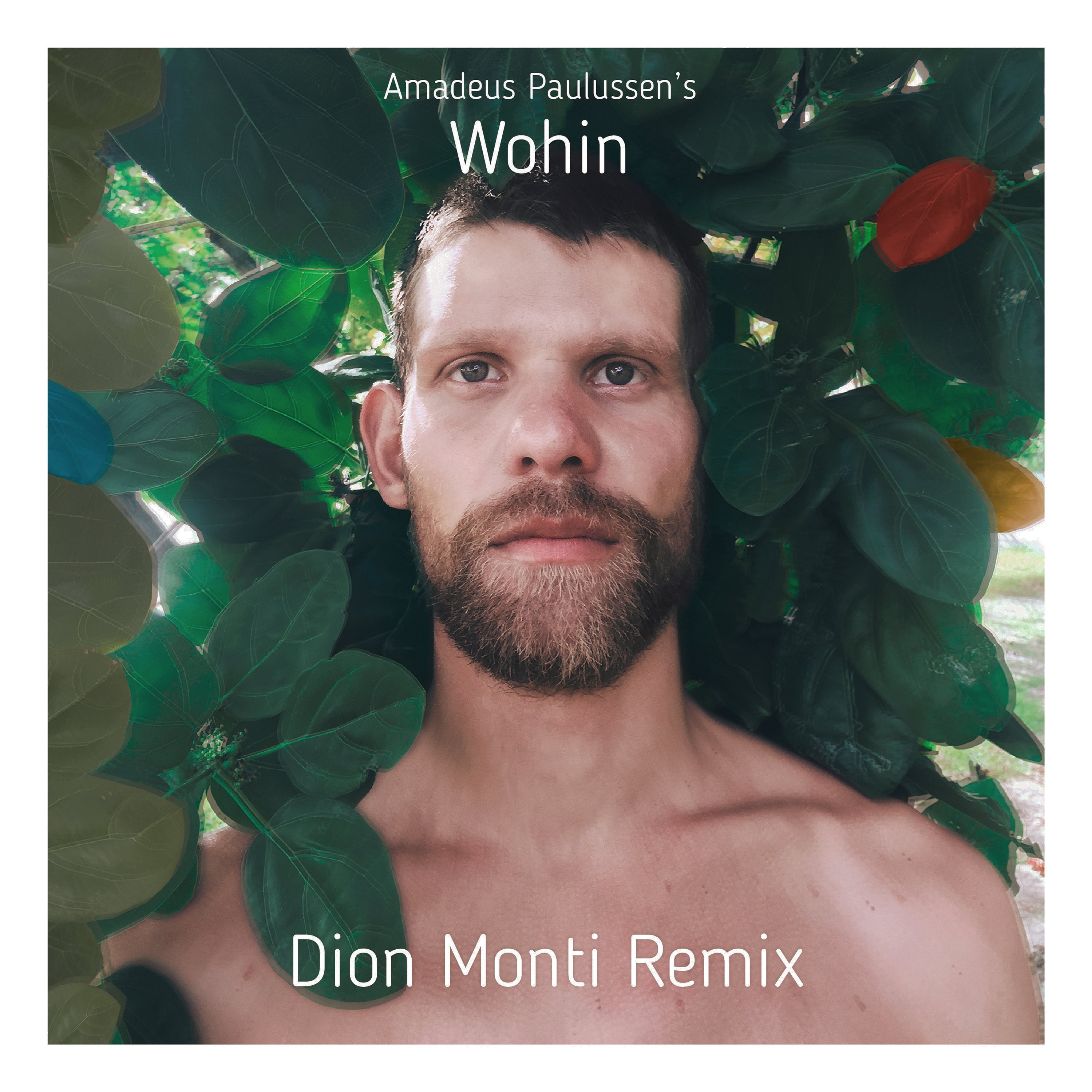 Wohin&#x20;&#x28;Dion&#x20;Monti&#x20;Remix&#x29;